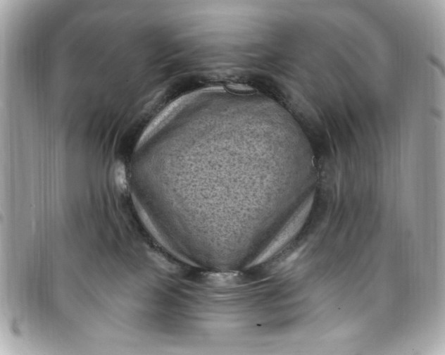 X0000097790089200803211830