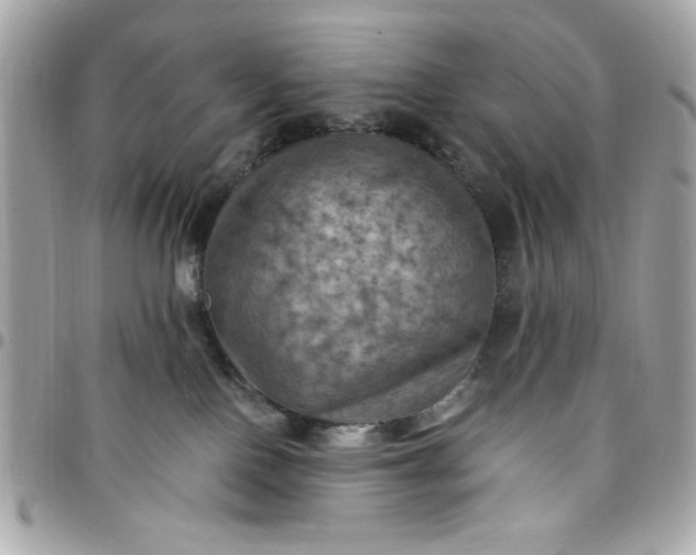 X0000097790090200803211830