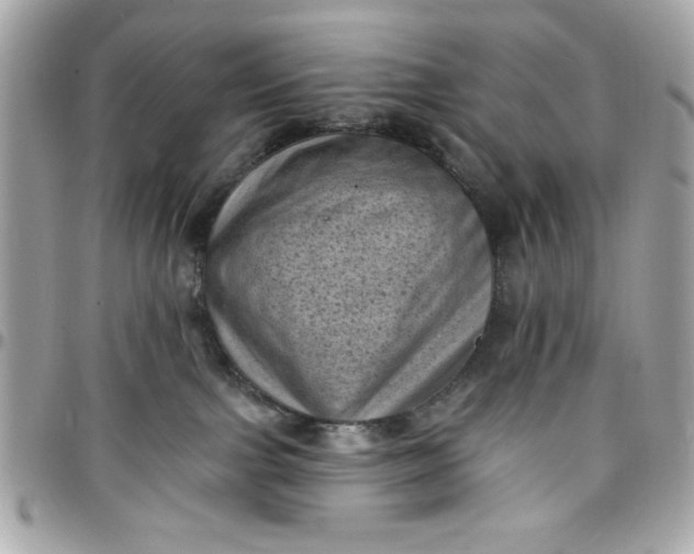 X0000097790091200803211830