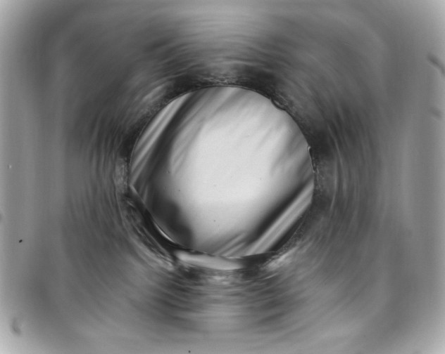 X0000097790092200803211830
