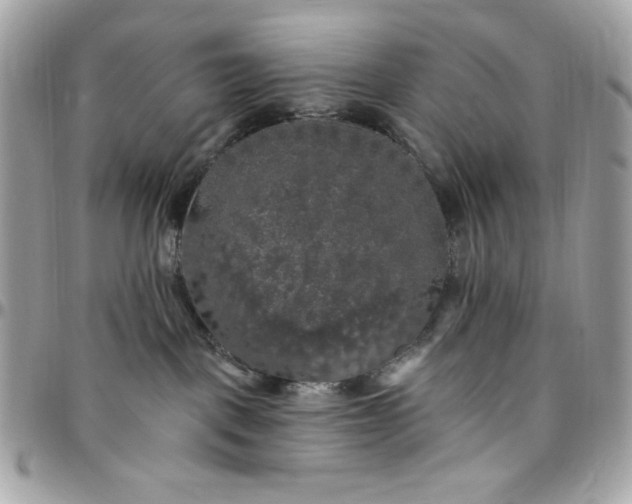 X0000097790093200803211830