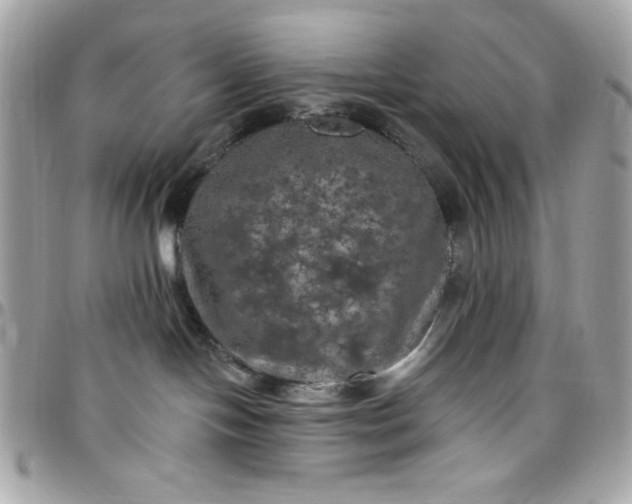 X0000097790094200803211830