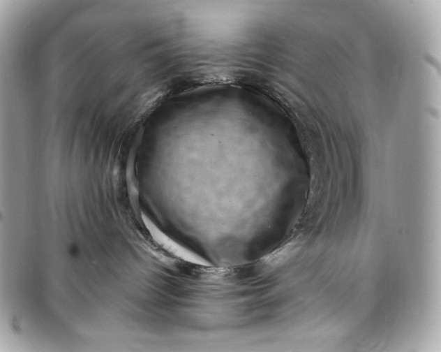X0000097790096200803211830