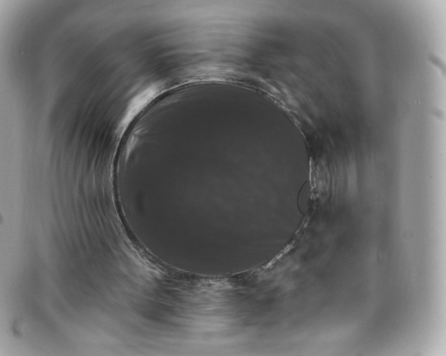 X0000097790099200803211829