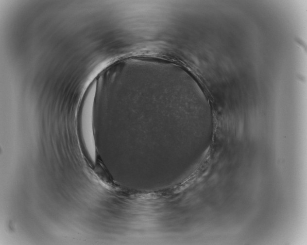 X0000097790100200803211829