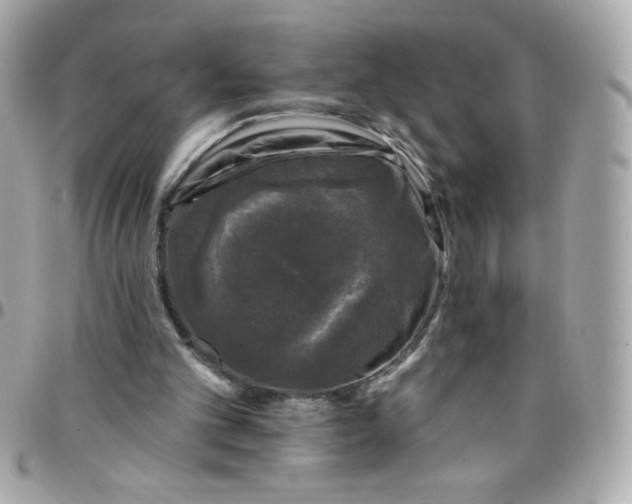 X0000097790101200803211829