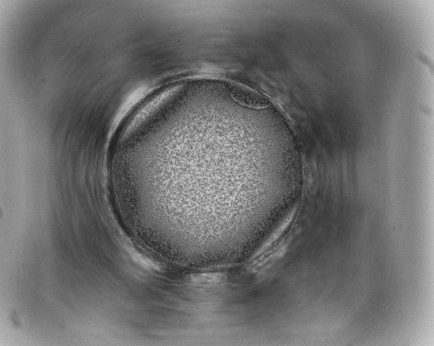 X0000097790102200803211829