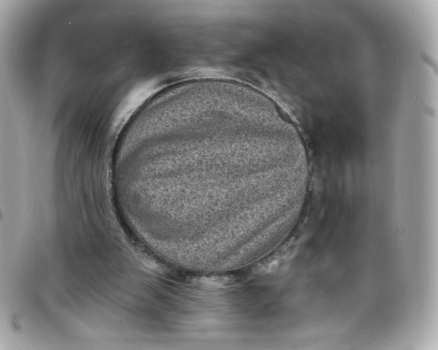 X0000097790103200803211829