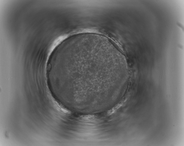 X0000097790104200803211829