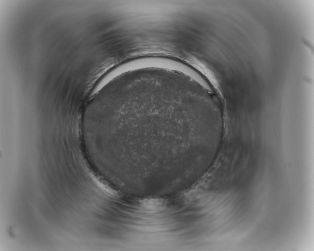 X0000097790105200803211829