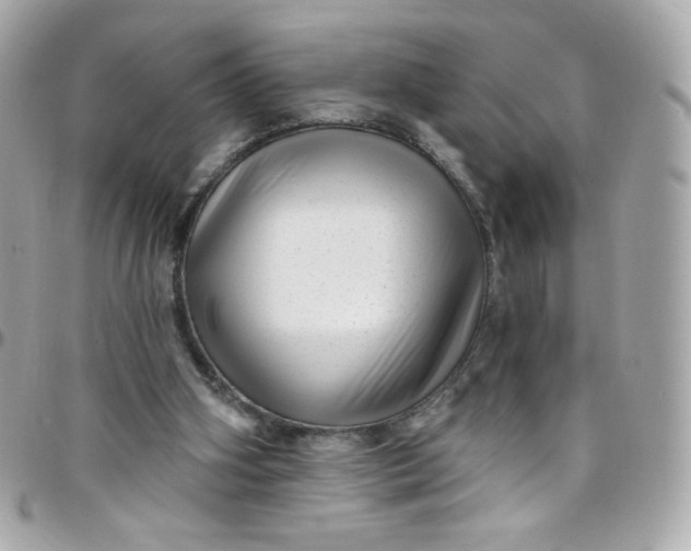 X0000097790106200803211829