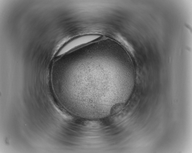 X0000097790107200803211829