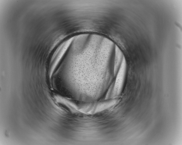 X0000097790108200803211829