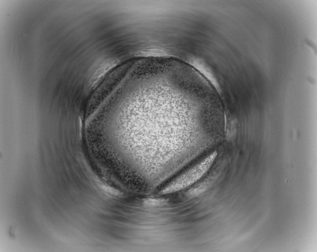 X0000097790109200803211829