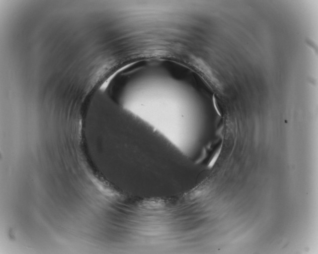 X0000097790110200803211829
