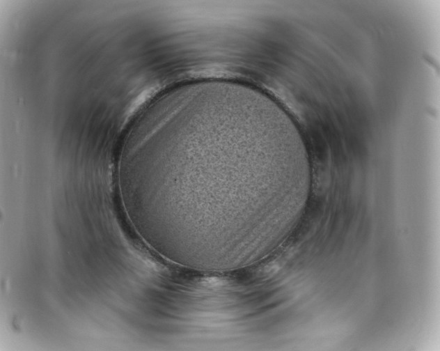 X0000097790111200803211829