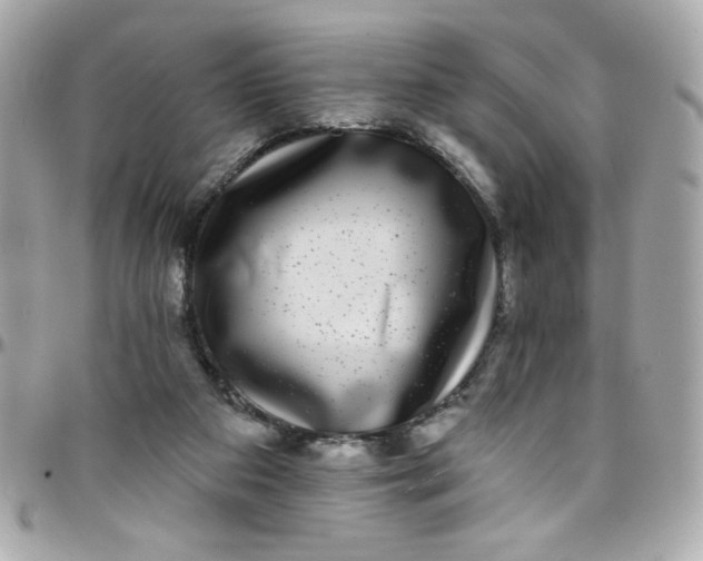 X0000097790113200803211829