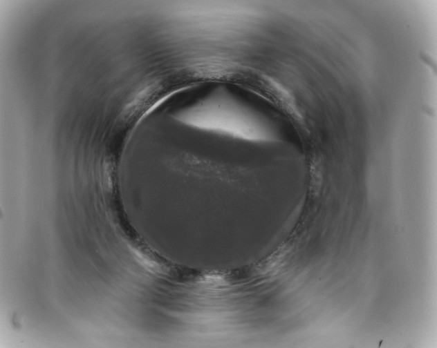 X0000097790114200803211829