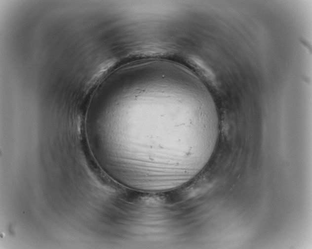 X0000097790115200803211829