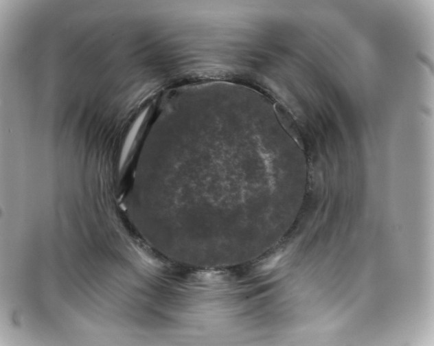 X0000097790117200803211829