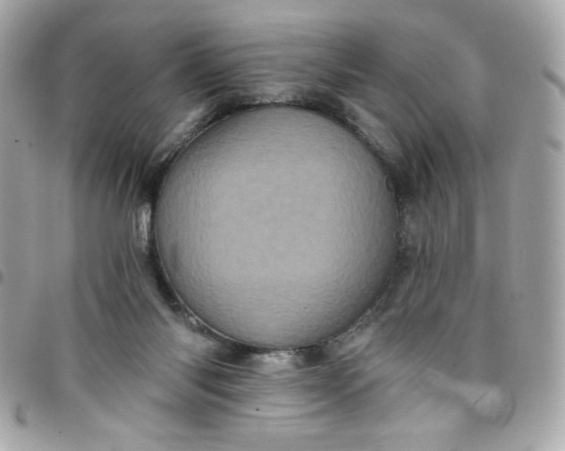 X0000097790118200803211829