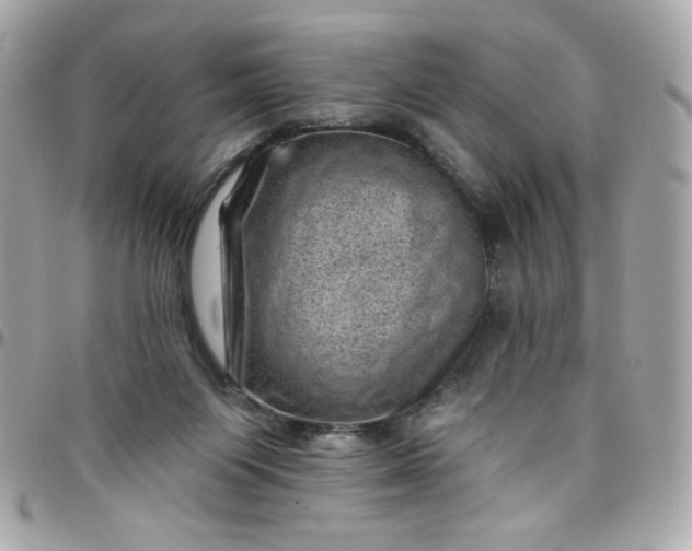 X0000097790119200803211829