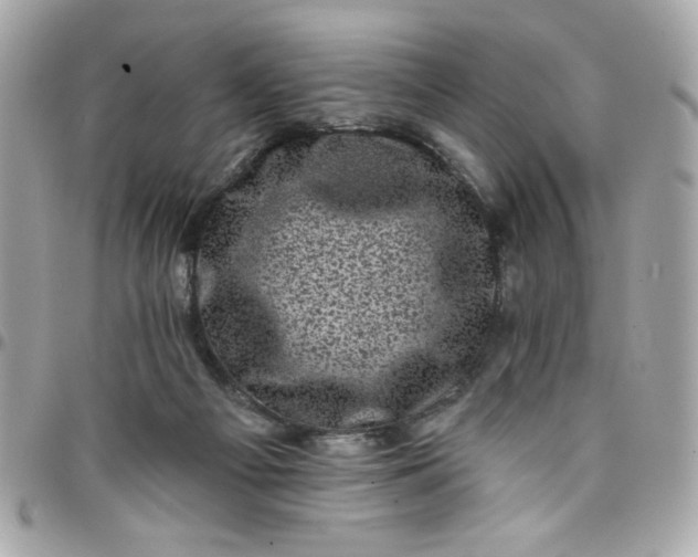 X0000097790121200803211829