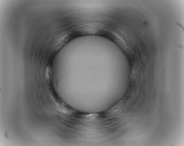 X0000097790122200803211829