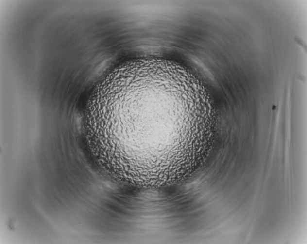 X0000097790123200803211829
