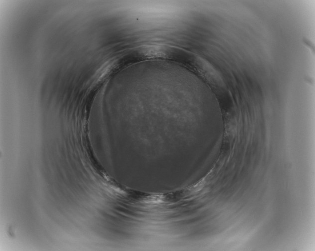 X0000097790124200803211829