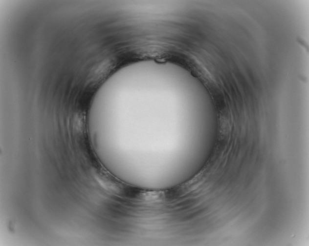X0000097790126200803211829