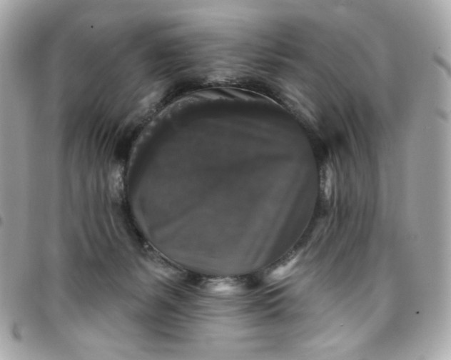 X0000097790127200803211829