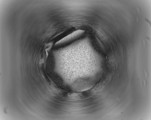 X0000097790129200803211829