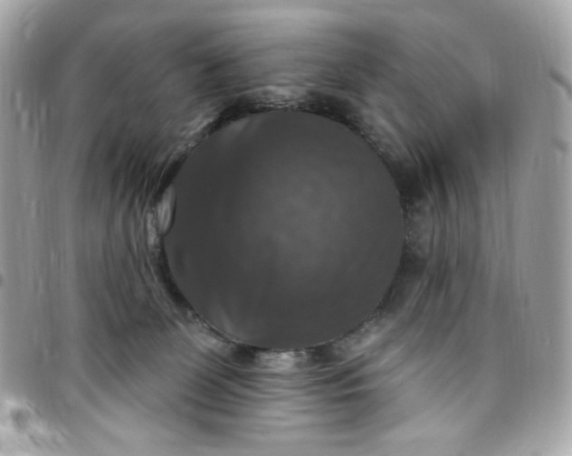 X0000097790131200803211829
