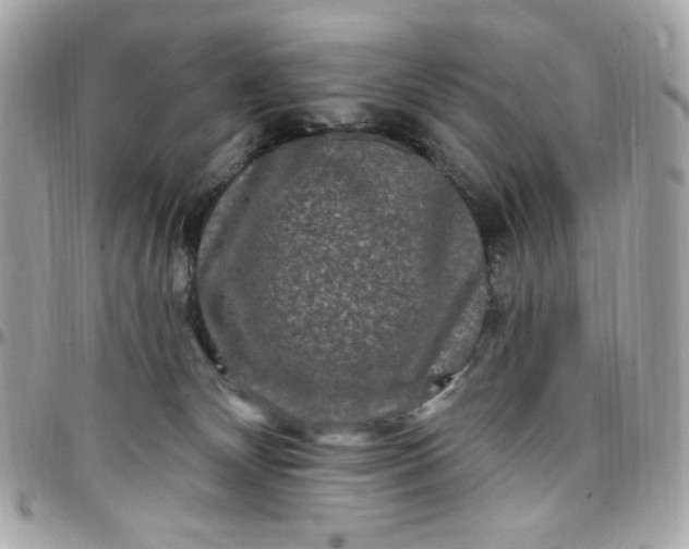 X0000097790132200803211829