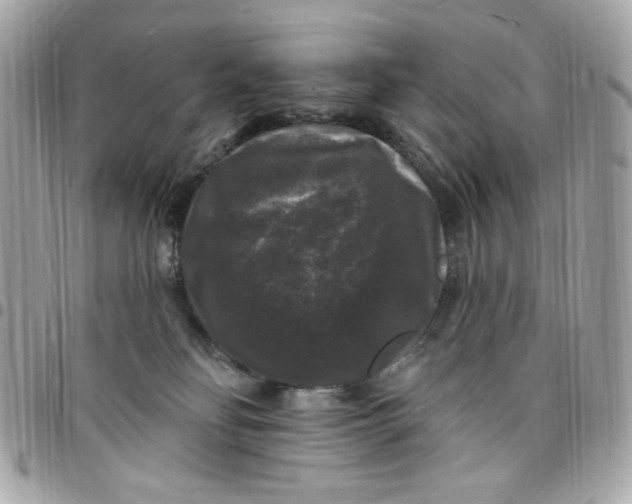 X0000097790134200803211829