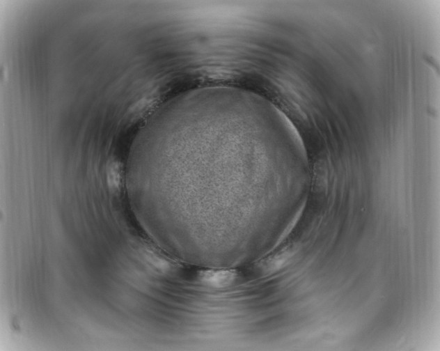 X0000097790135200803211829