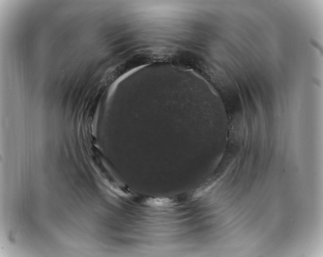 X0000097790137200803211829