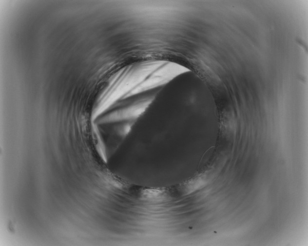 X0000097790139200803211829