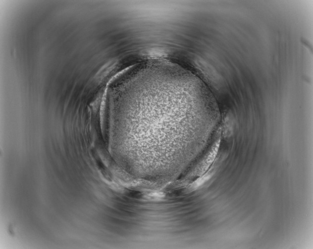 X0000097790140200803211829
