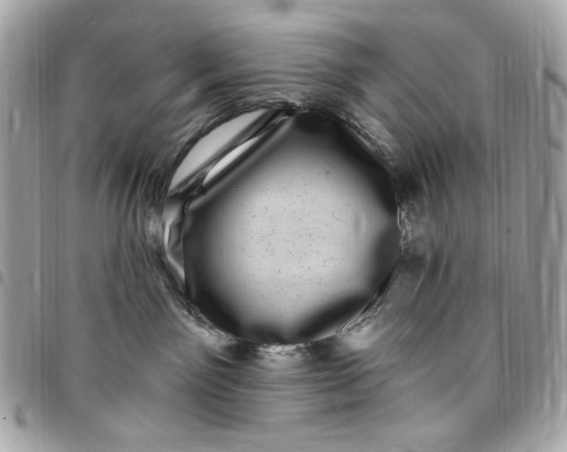 X0000097790141200803211829