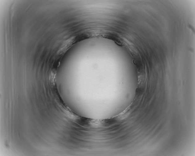 X0000097790142200803211829