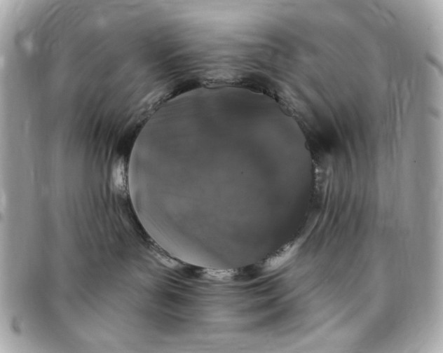 X0000097790143200803211829
