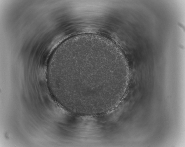 X0000097790146200803211828