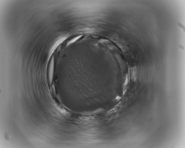 X0000097790147200803211828