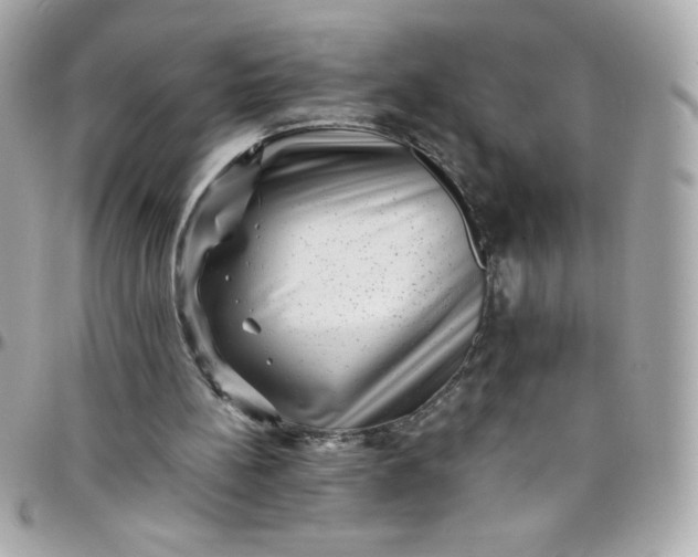 X0000097790148200803211828