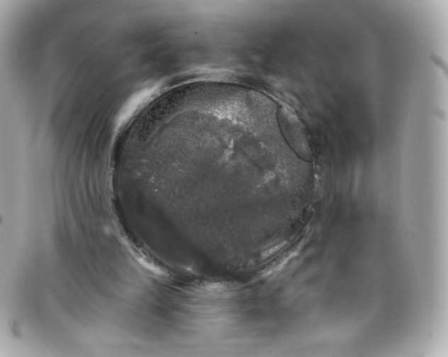 X0000097790149200803211828