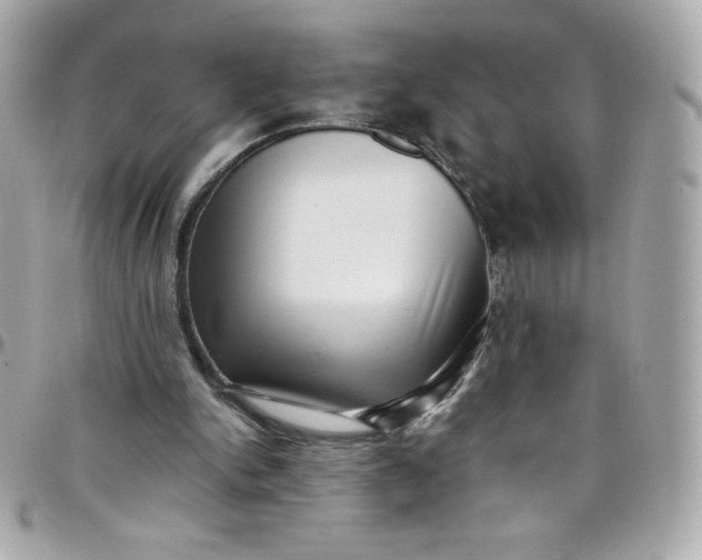 X0000097790150200803211828