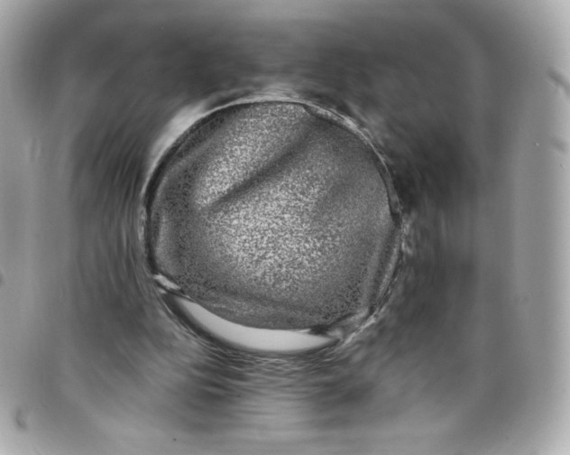 X0000097790152200803211828
