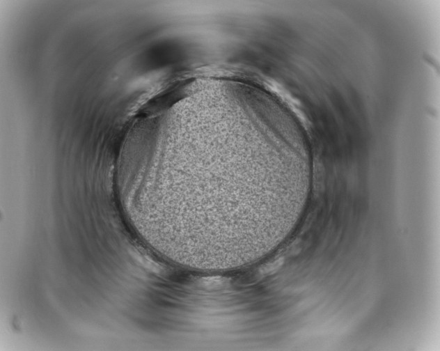 X0000097790153200803211828